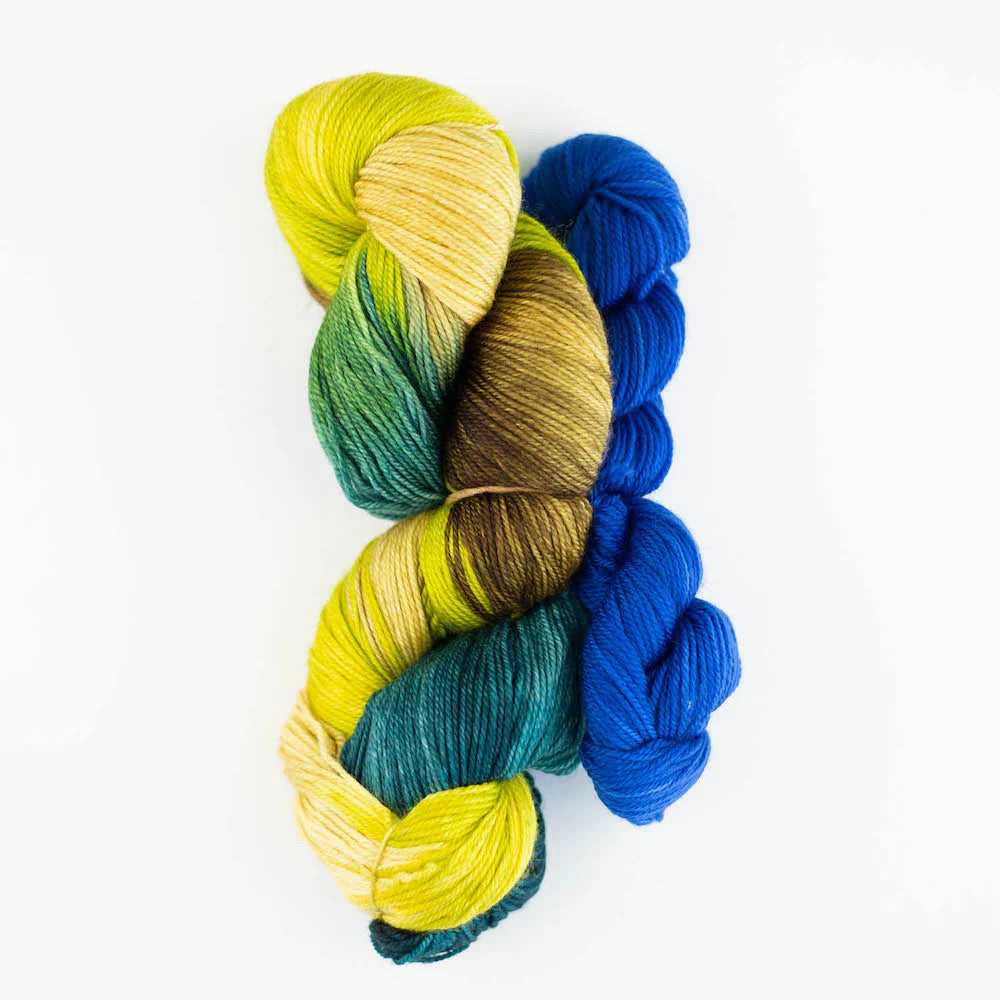 Alegria Superpool Sock Kit