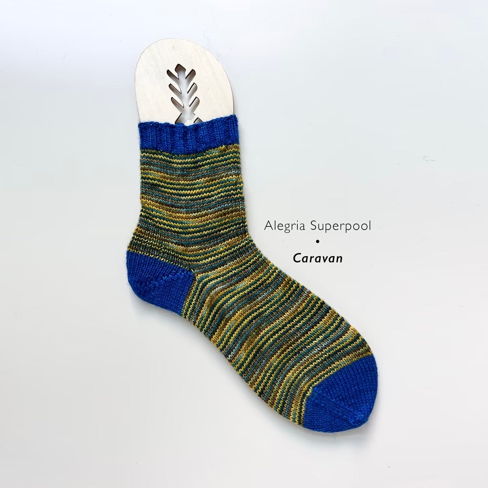 Alegria Superpool Sock Kit