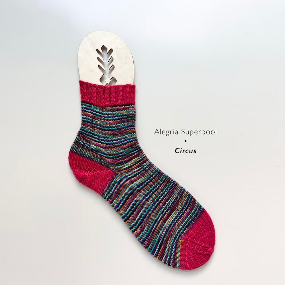 Alegria Superpool Sock Kit
