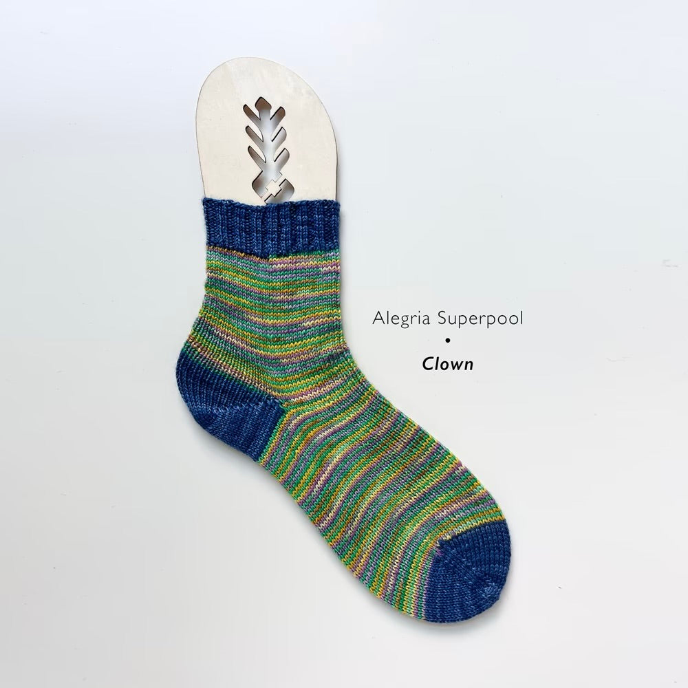 Alegria Superpool Sock Kit