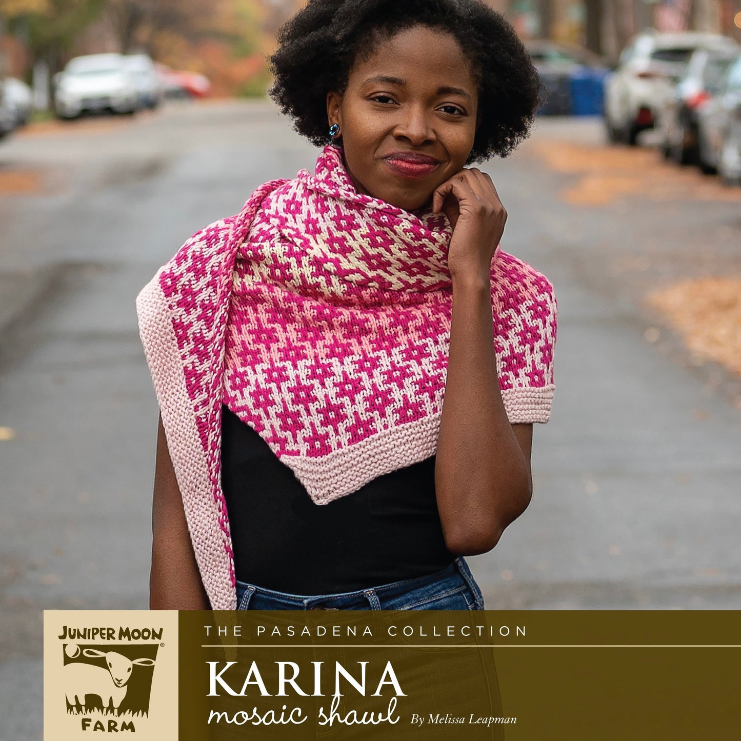 Karina Asymmetrical Shawl Pattern