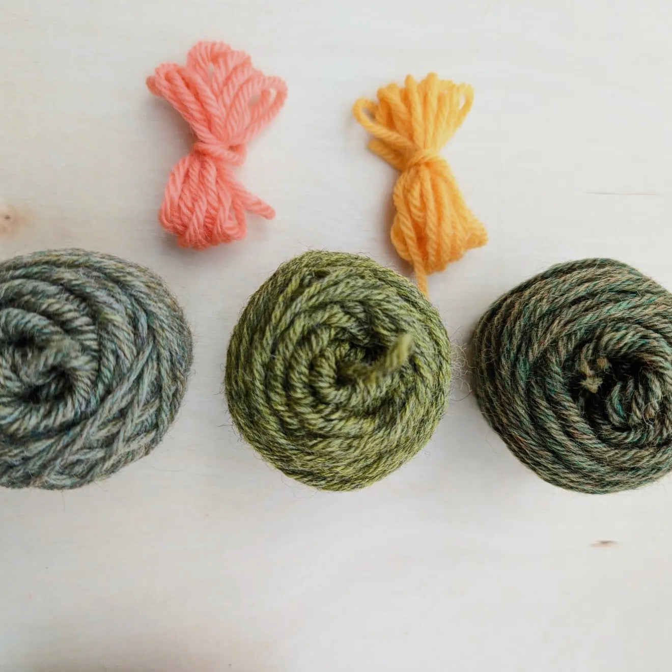 Prickle of Cactus Knit Kit