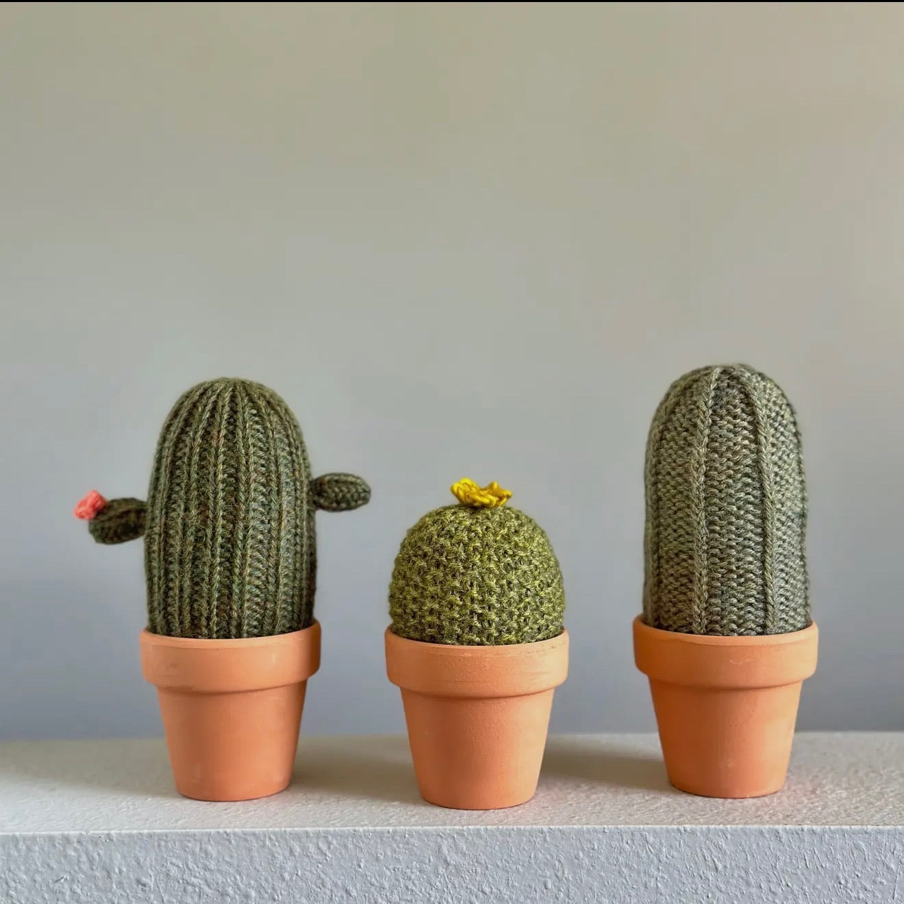 Prickle of Cactus Knit Kit