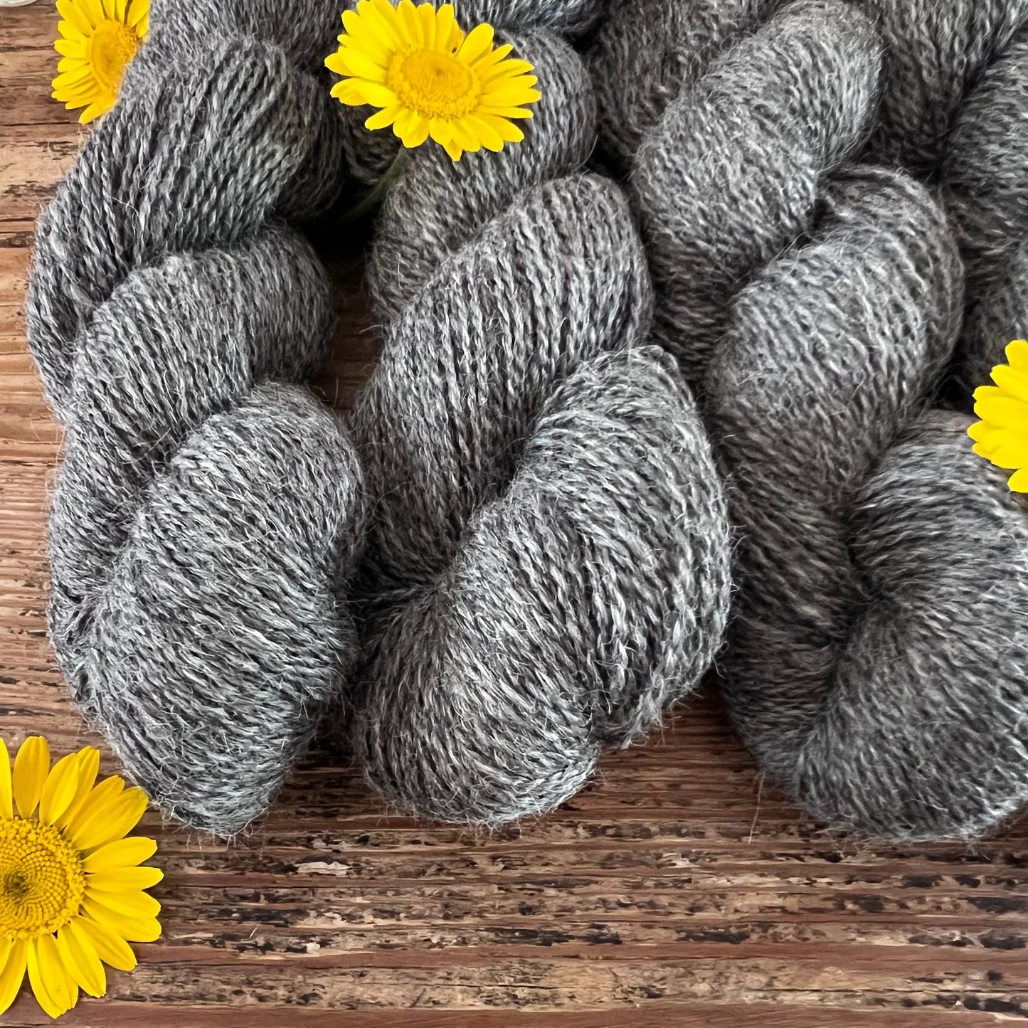 PT Suri x Fine Wool